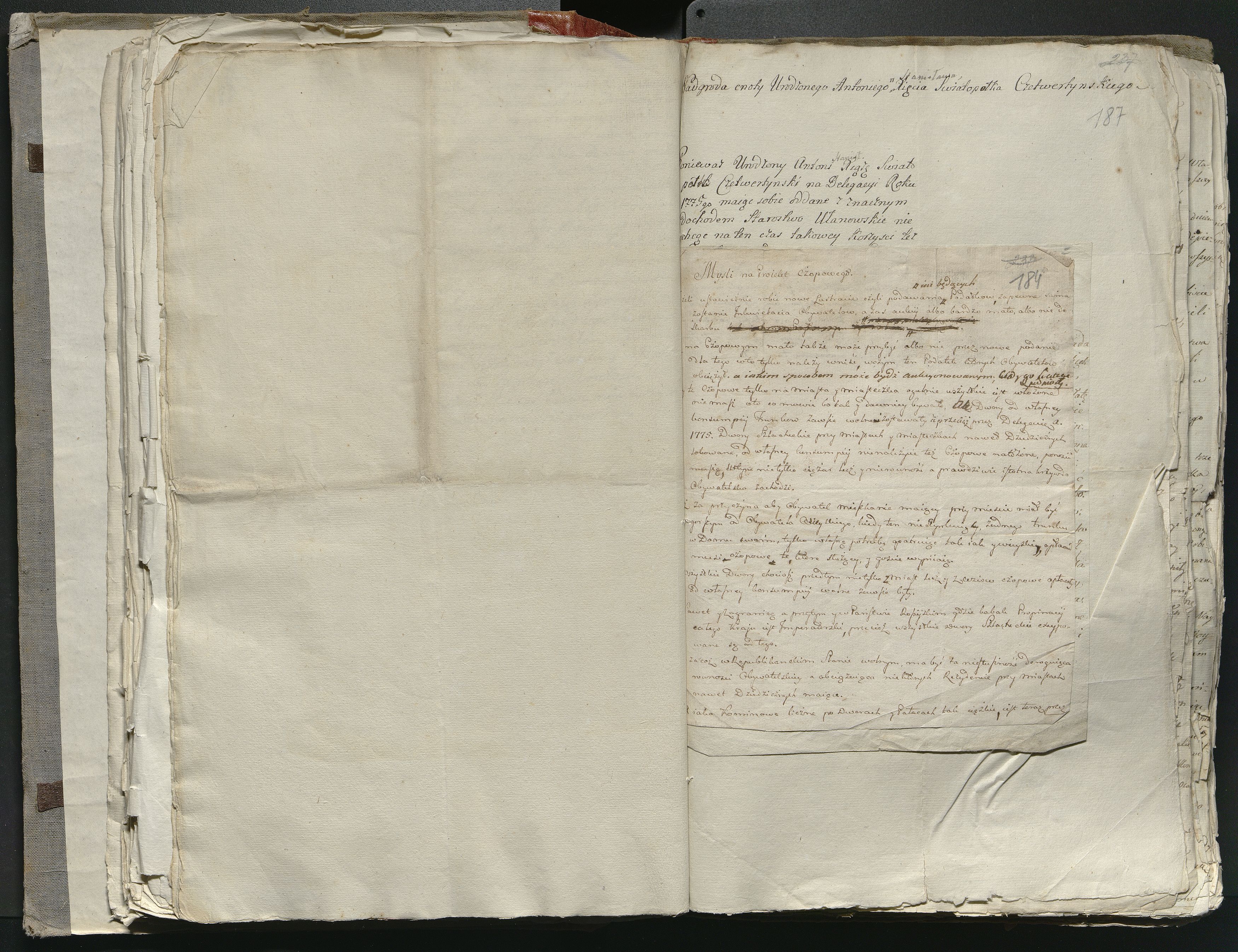 1_335_0_0_316-1_0110