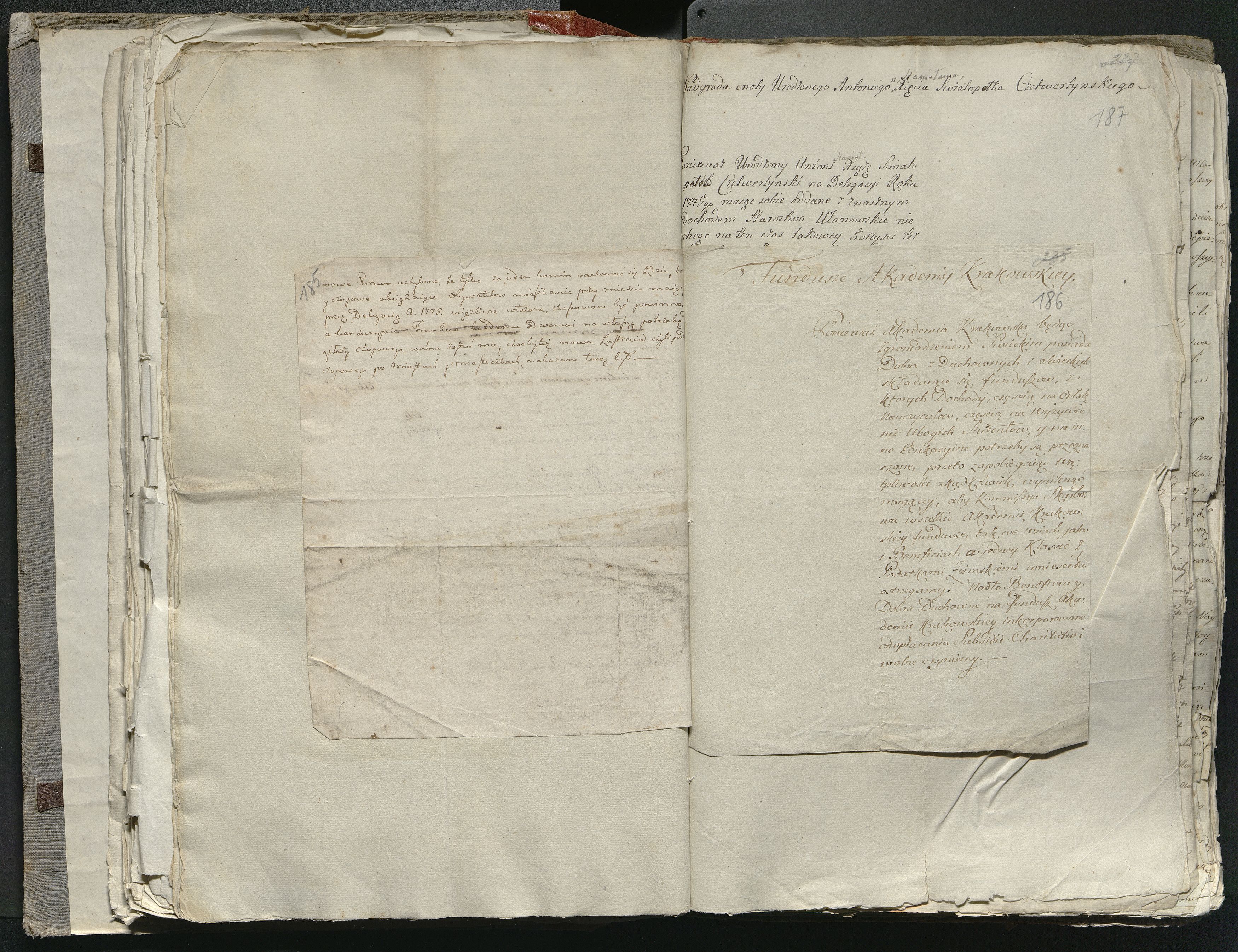 1_335_0_0_316-1_0111