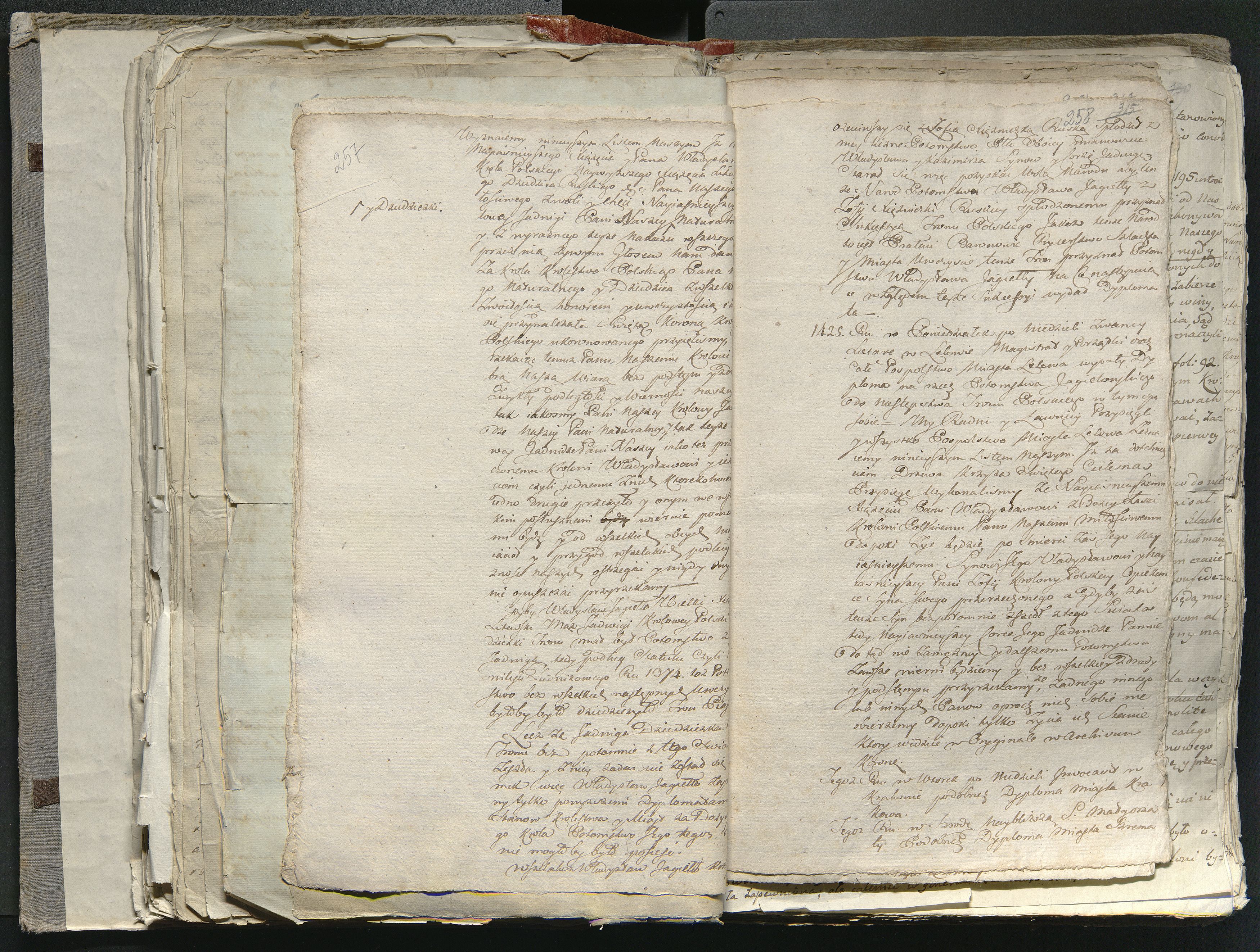 1_335_0_0_316-1_0151