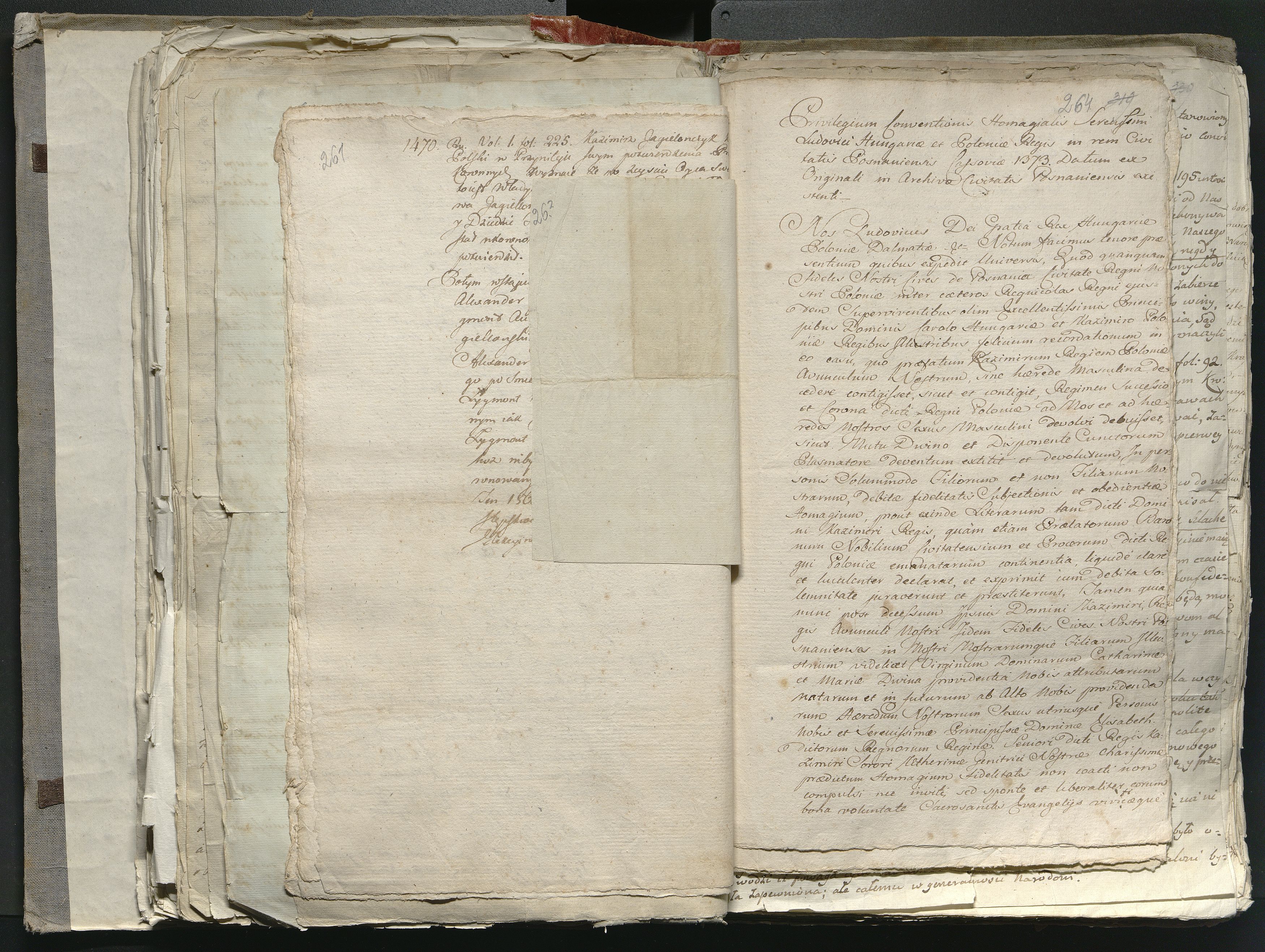 1_335_0_0_316-1_0155