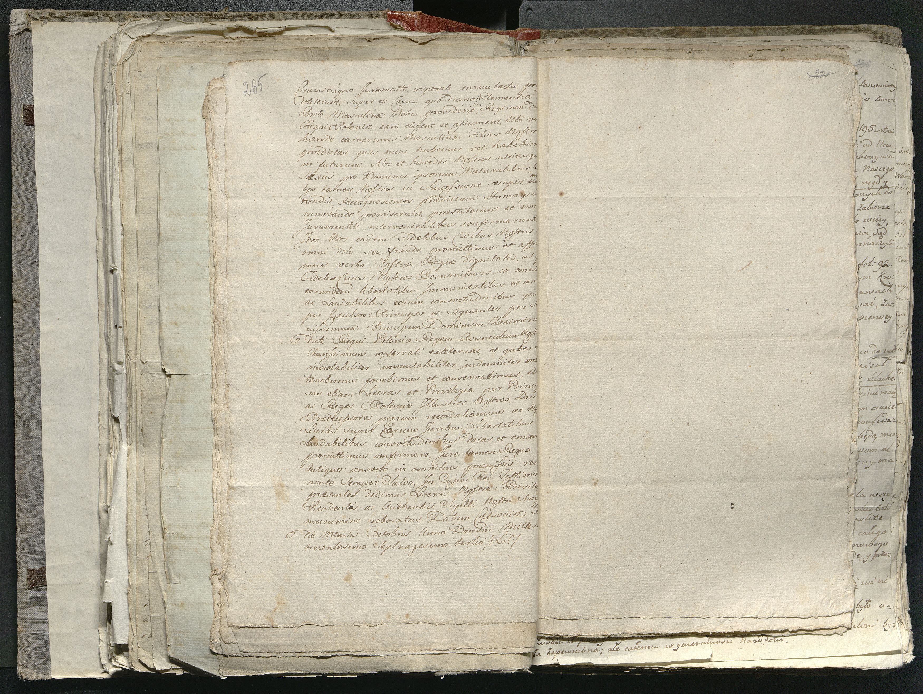 1_335_0_0_316-1_0156