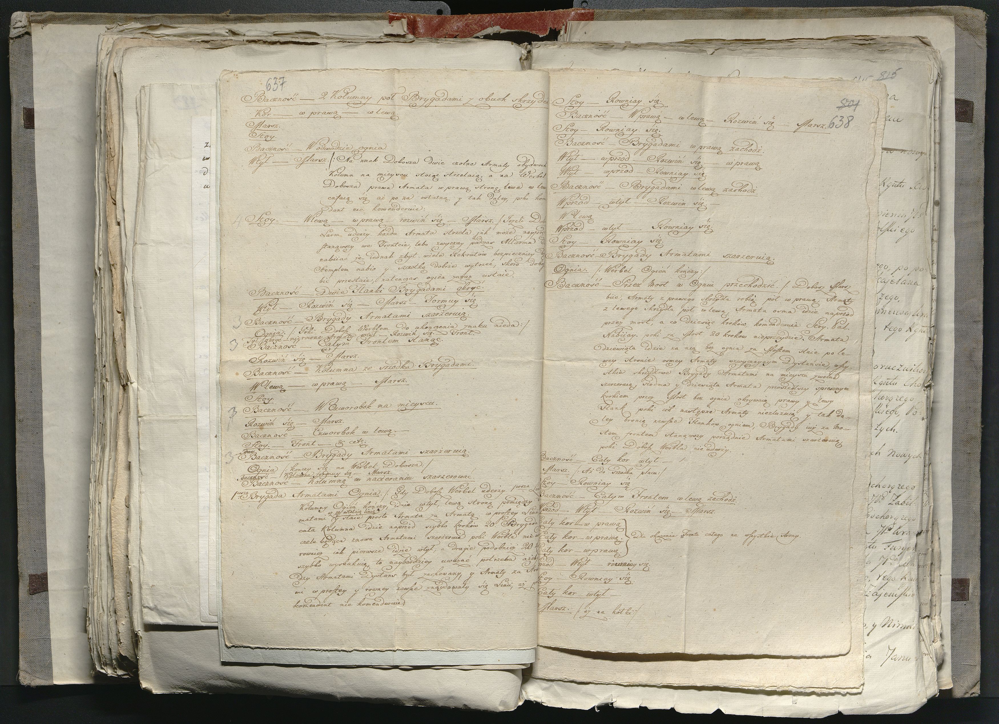 1_335_0_0_316-1_0378