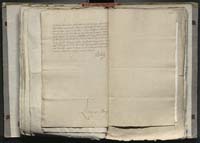 1_335_0_0_316-1_0330