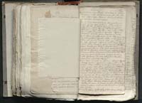 1_335_0_0_316-1_0444