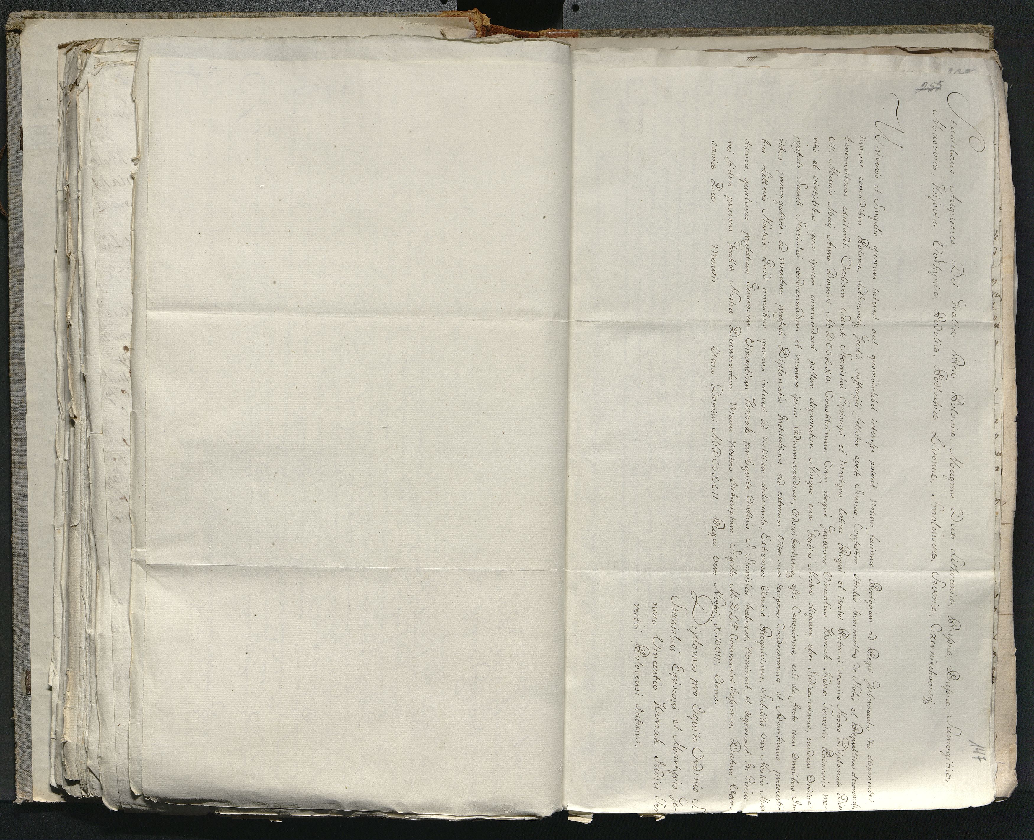 1_335_0_0_316-2_0111