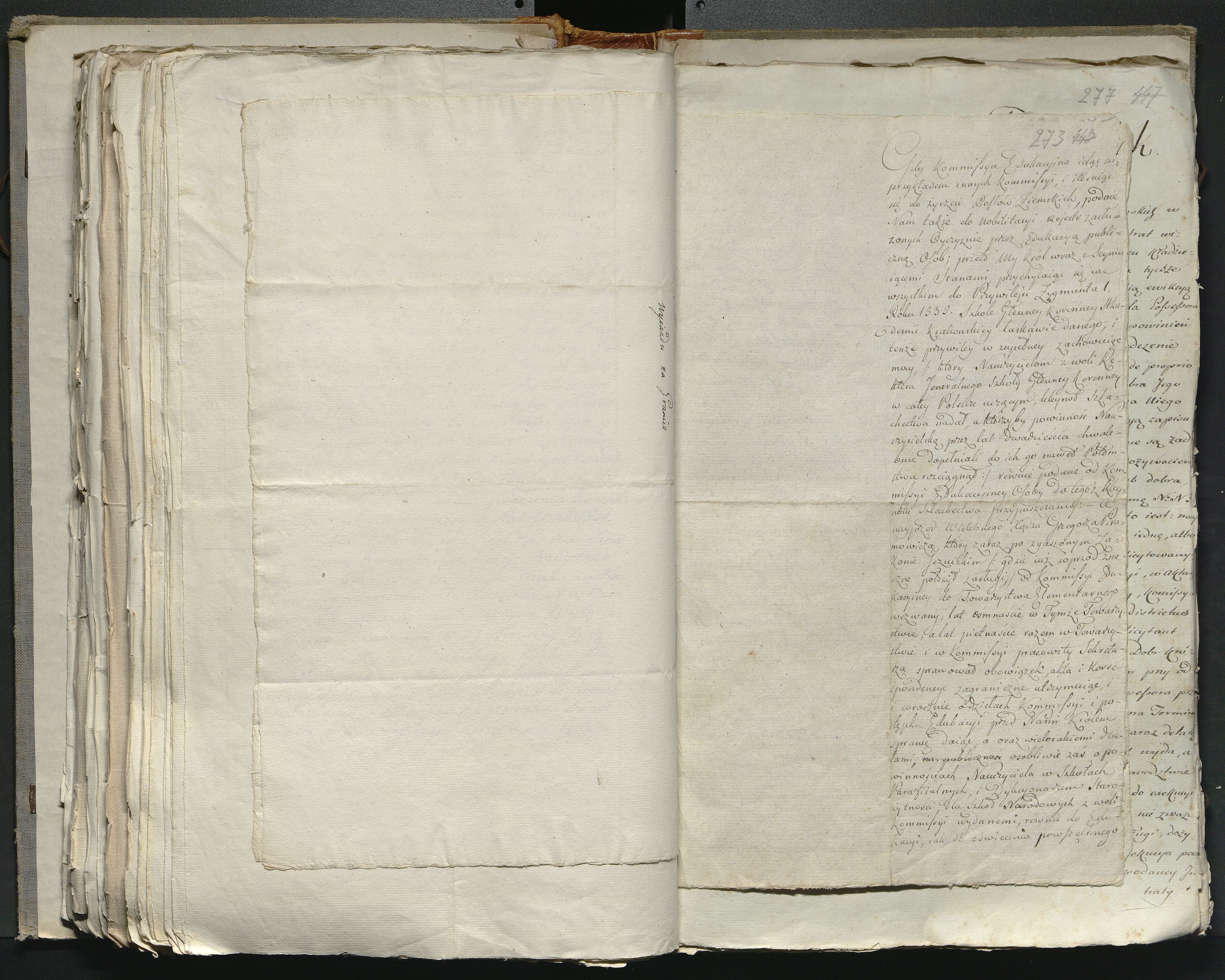 1_335_0_0_316-2_0191