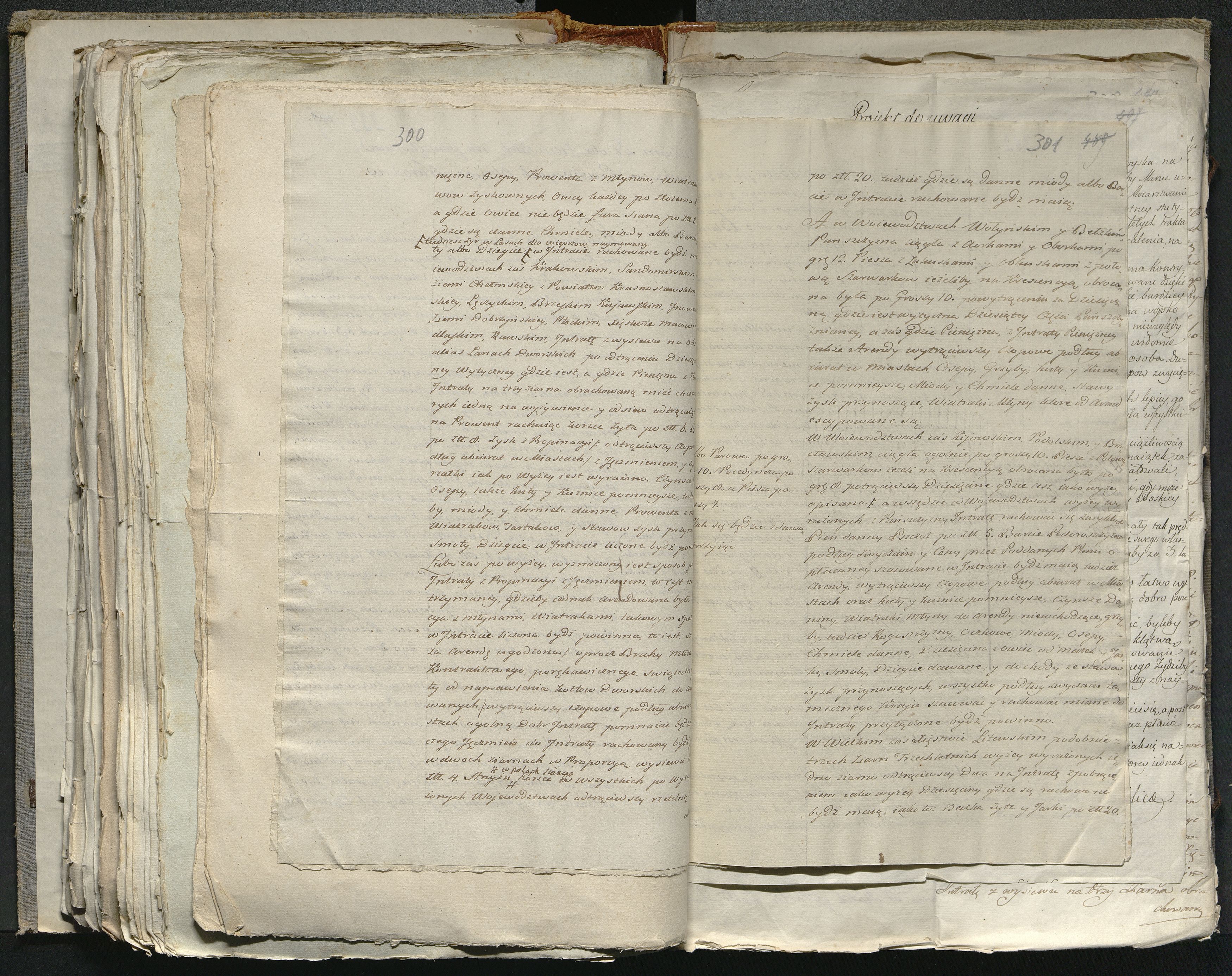 1_335_0_0_316-2_0210