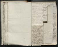 1_335_0_0_316-2_0113