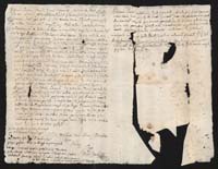 1_335_0_0_9-III_0060