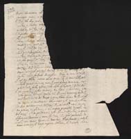 1_335_0_0_9-III_0204