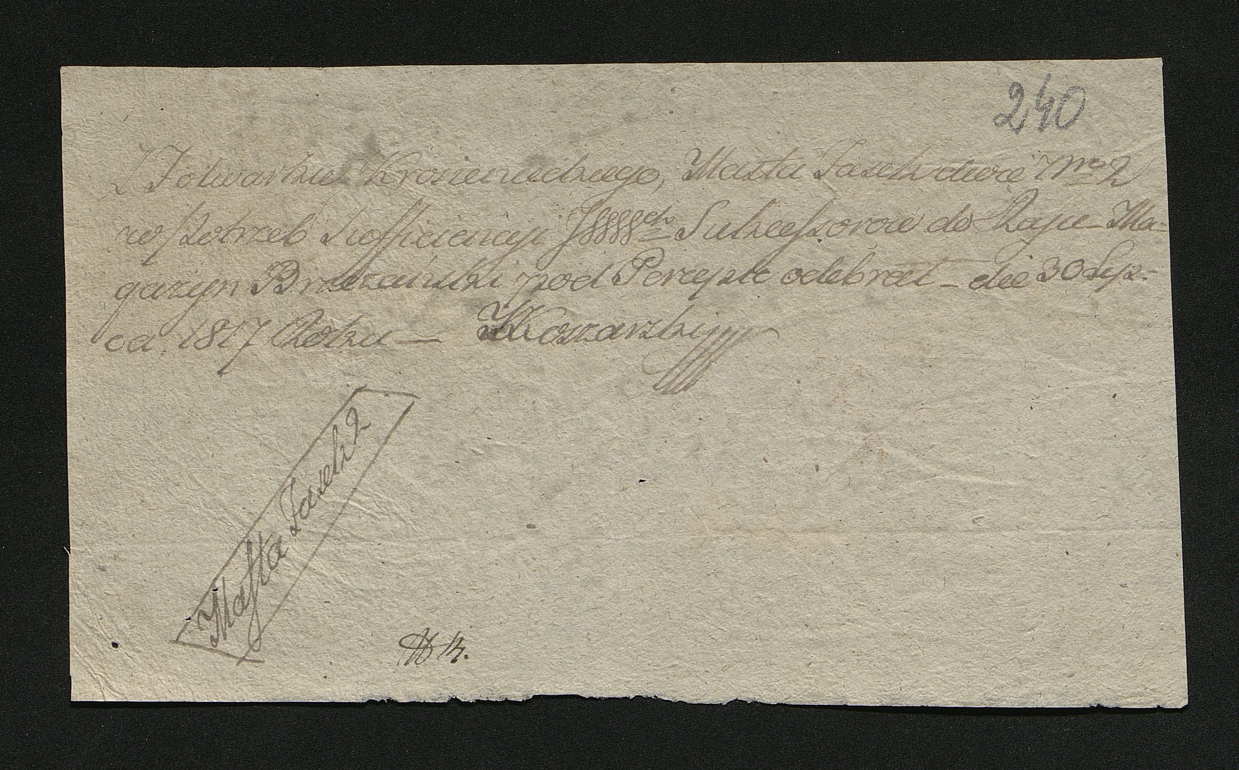 1_350_0_0_0137-1_0215