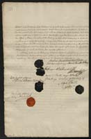 1_350_0_0_0137-1_0331