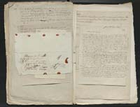 1_350_0_0_137-2_0331