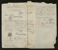 1_350_0_0_138-1_0010