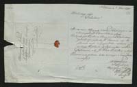 1_350_0_0_163-2_0381