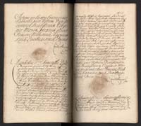 1_350_0_0_192-6_0447