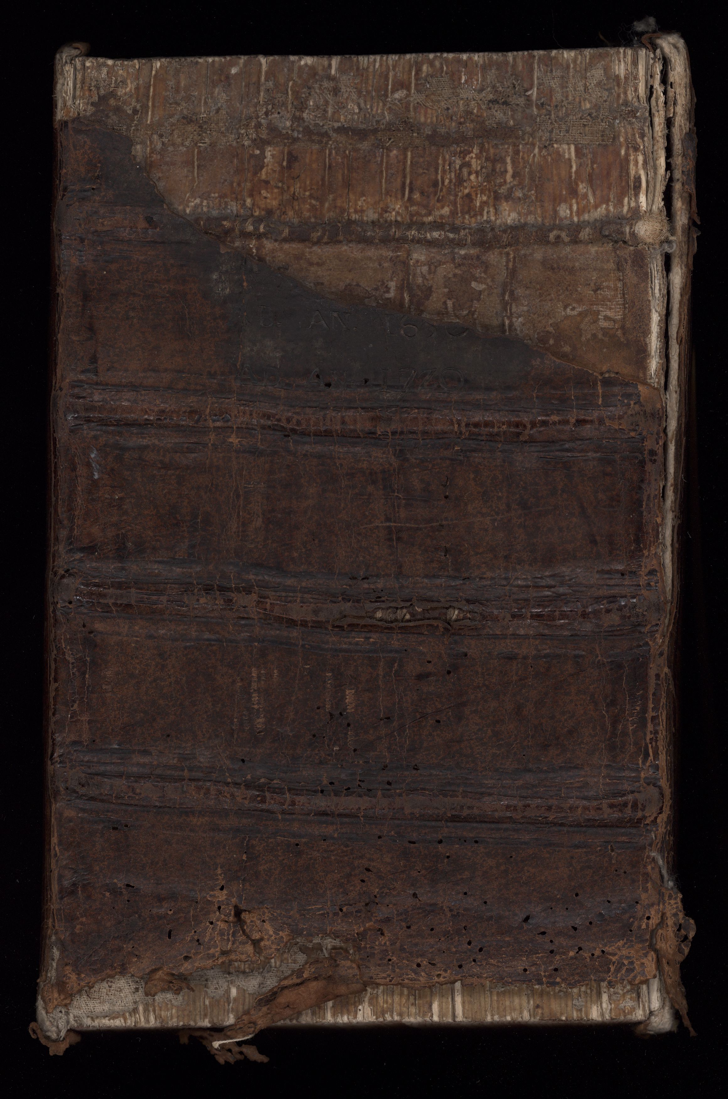 1_350_0_0_192-7_1412