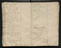 1_350_0_0_784-1_0119