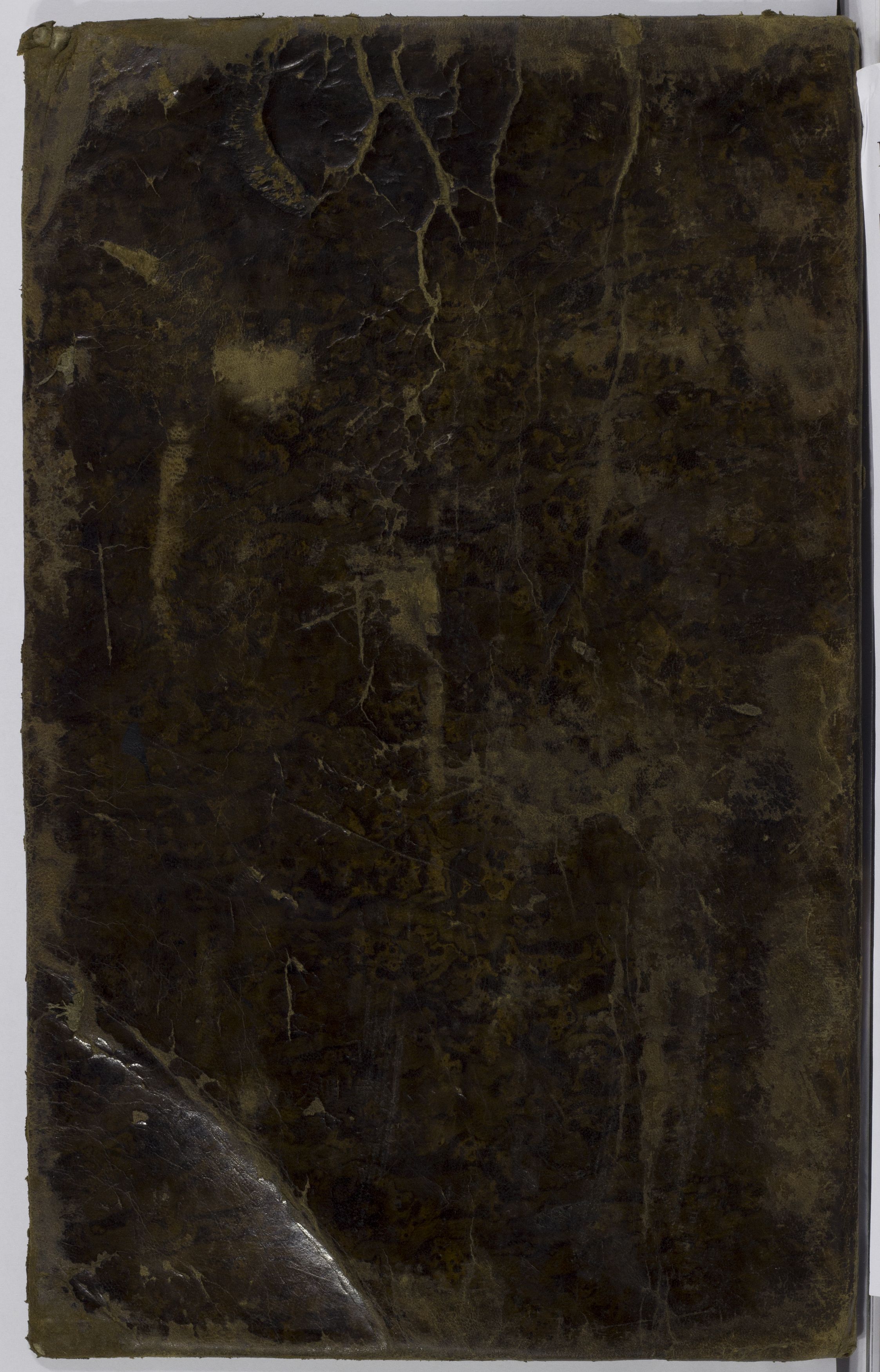 PL_1_4_1-293_9999-okladka