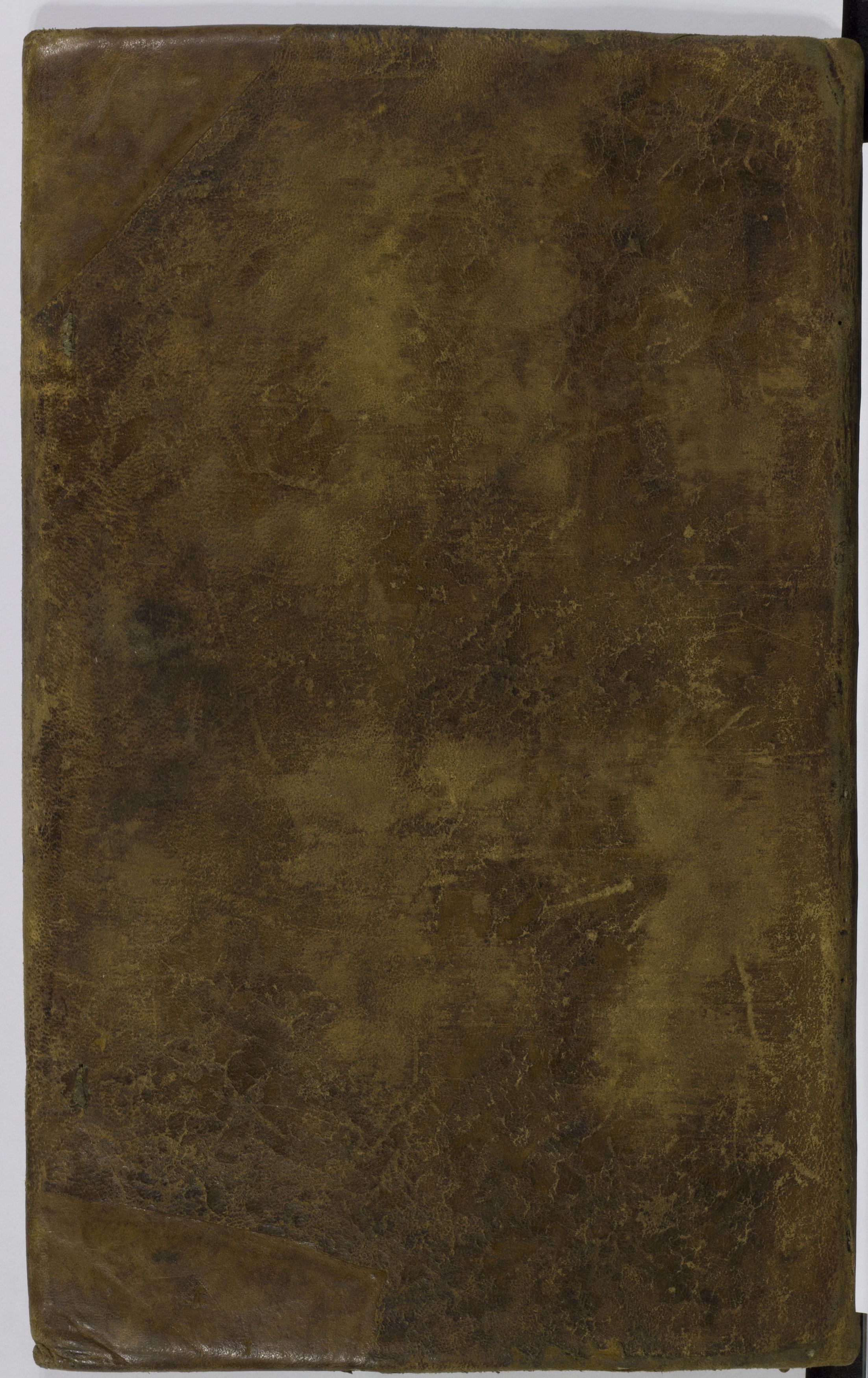 PL_1_4_1-295_9999-okladka