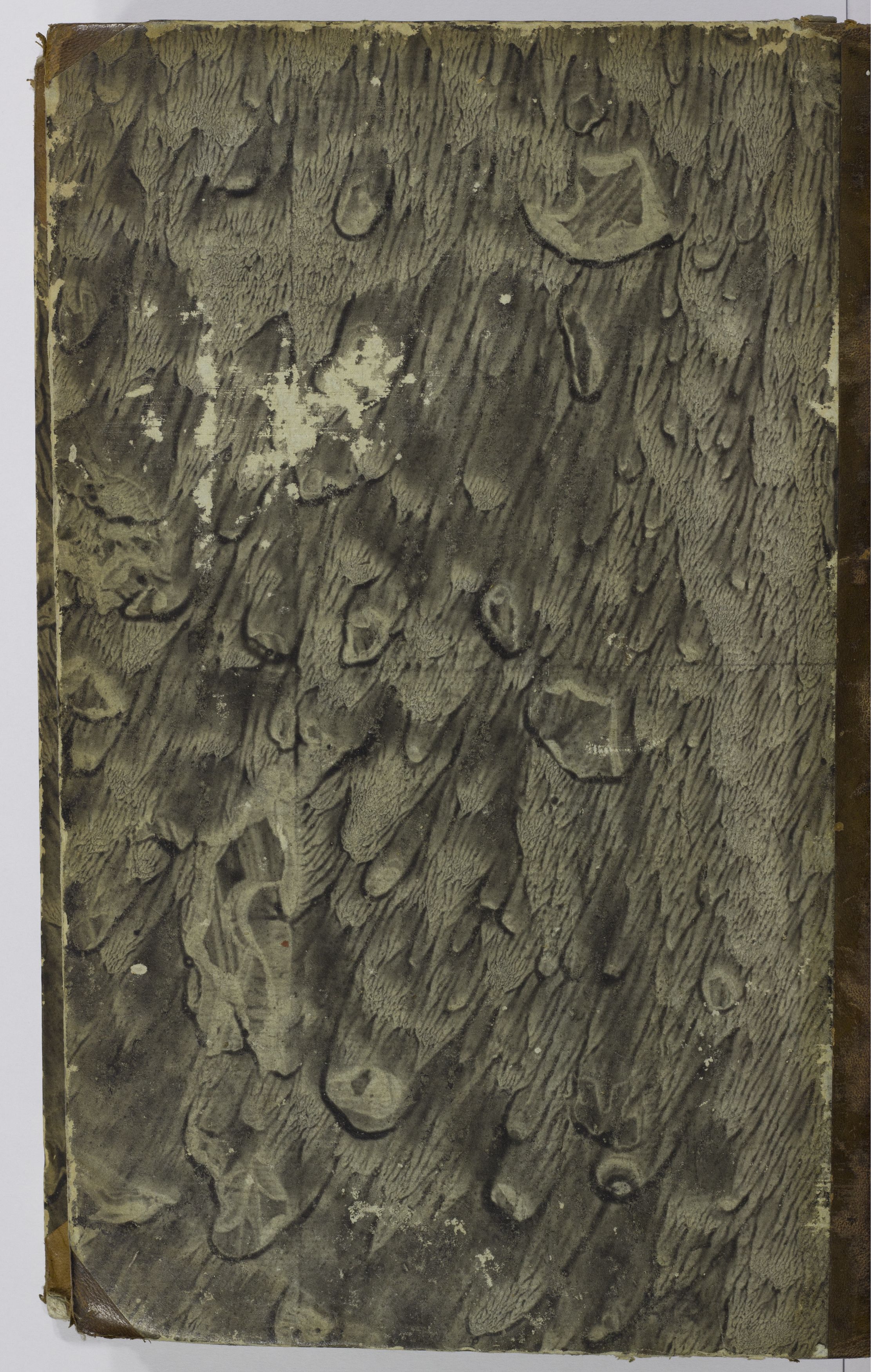 PL_1_4_1-378_9999-okladka