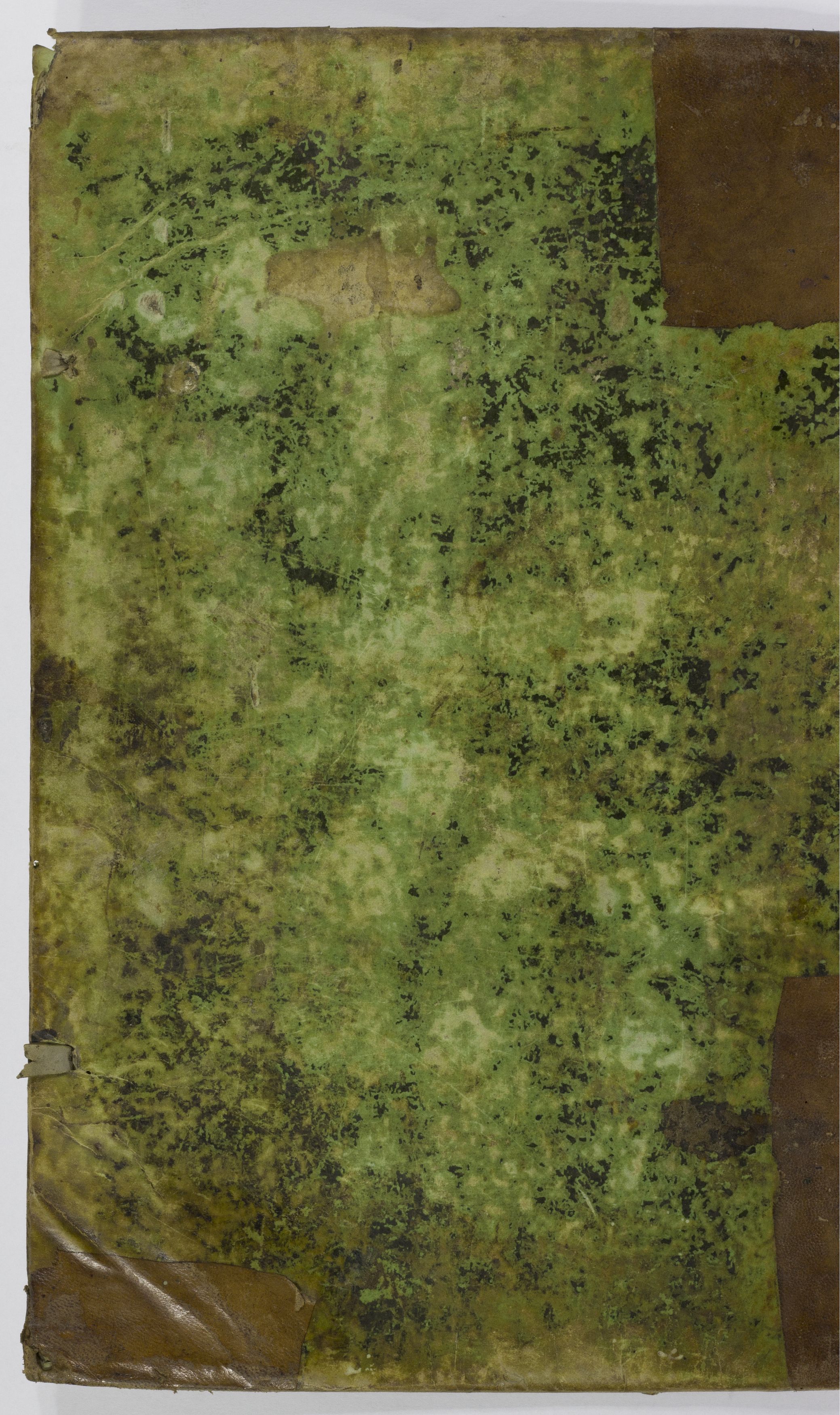 PL_1_4_1-393_9999-okladka